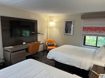 Suite, Multiple Beds, Non Smoking