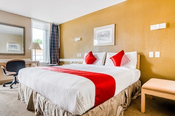 Room, 1 Queen Bed