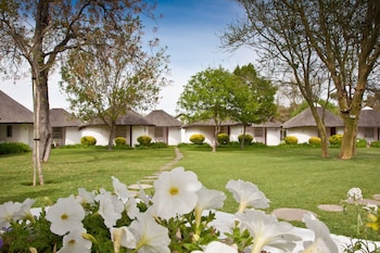 Room, 2 Twin Beds, Garden View