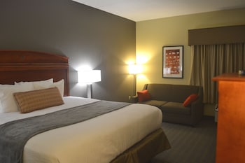 Standard Room, 1 King Bed, Non Smoking, Refrigerator & Microwave (with Sofabed)