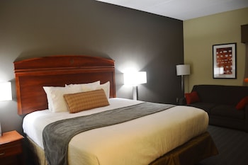 Standard Room, 1 King Bed, Non Smoking, Refrigerator & Microwave (with Sofabed)