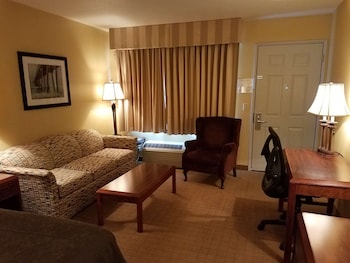 Standard Room, 1 King Bed with Sofa bed, Non Smoking, Microwave (with Sofabed)