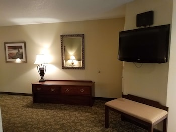 Suite, 1 King Bed with Sofa bed, Non Smoking (with Sofabed)