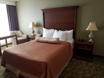 Standard Room, 1 Queen Bed, Accessible, Non Smoking (Pet Friendly)