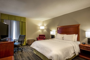 Room, 1 King Bed, Non Smoking
