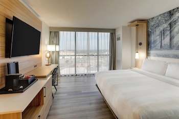 Room, 1 King Bed (Mobility Accessible, Roll-In Shower)
