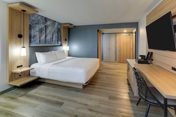 Room, 1 King Bed (Mobility Accessible, Roll-In Shower)