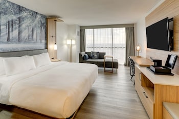 Room, 1 King Bed