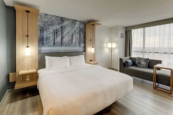 Room, 1 King Bed (Mobility Accessible, Roll-In Shower)