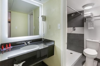 Room, 1 King Bed