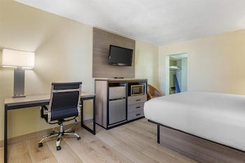 Room, 1 King Bed