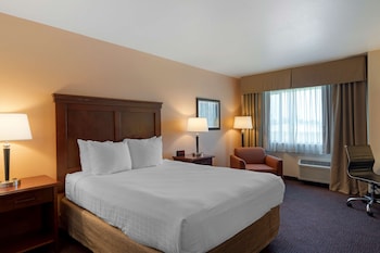 Standard Room, 1 King Bed, Non Smoking, Refrigerator & Microwave