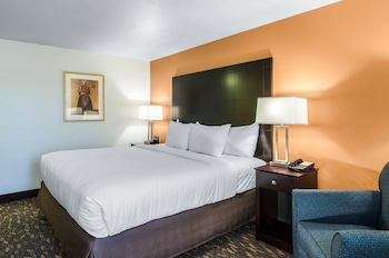 Single Room, 1 King Bed, Accessible, Non Smoking