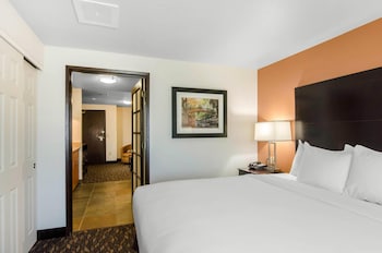 Suite, 1 King Bed with Sofa bed, Non Smoking