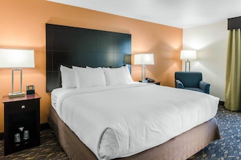 Standard Room, 1 King Bed, Non Smoking