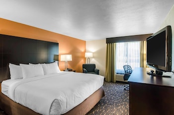 Single Room, 1 King Bed, Accessible, Non Smoking