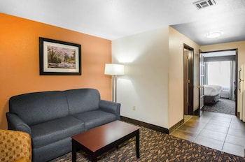 Suite, 1 King Bed with Sofa bed, Non Smoking