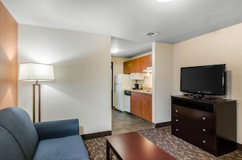 Suite, 1 King Bed with Sofa bed, Non Smoking