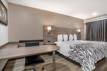 Superior Room, 1 King Bed, Non Smoking