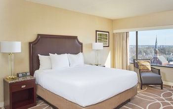 Room, 1 King Bed, Allergy Friendly