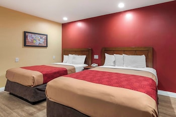 Room, Multiple Beds, Accessible, Non Smoking