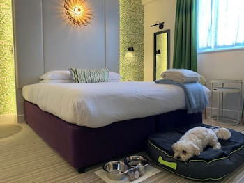 Dog Friendly Executive Double