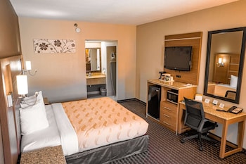 Room, 1 Queen Bed, Accessible, Non Smoking