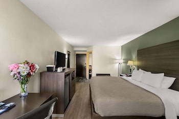 Standard Room, 1 King Bed, Non Smoking
