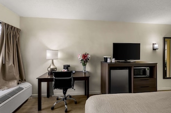 Standard Room, 1 King Bed, Non Smoking