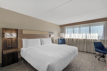 Standard Room, 1 King Bed, Accessible, Bathtub
