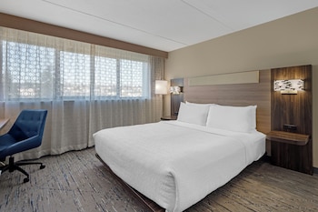 Standard Room, 1 King Bed, Accessible, Bathtub