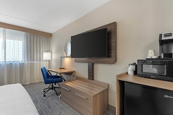 Suite, 1 King Bed, Non Smoking (Larger Room;with Sofabed)