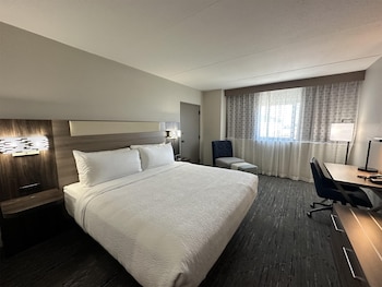 Suite, 1 King Bed, Non Smoking (Larger Room;with Sofabed)