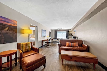 Suite, 1 King Bed, Non Smoking, Refrigerator & Microwave (with Sofabed)