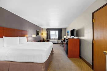 Standard Room, 1 King Bed, Non Smoking, Refrigerator & Microwave