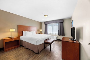 Suite, 1 King Bed, Non Smoking, Refrigerator & Microwave (with Sofabed)