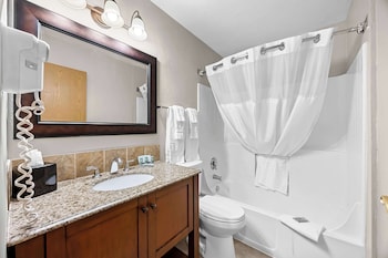 Suite, 1 King Bed, Non Smoking, Refrigerator & Microwave (with Sofabed)