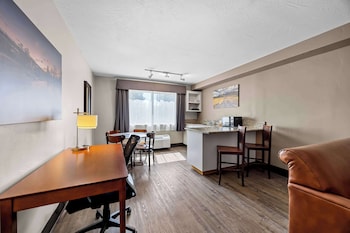 Suite, 1 King Bed, Non Smoking, Refrigerator & Microwave (with Sofabed)