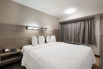 Standard Room, 1 King Bed (Smoke Free)
