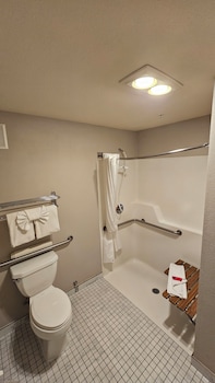 1 King Bed, Partial Ocean View, ADA Accessible, Roll in Shower (Non-Pet Room)