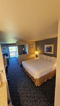 1 King Bed, Partial Ocean View, ADA Accessible, Roll in Shower (Non-Pet Room)