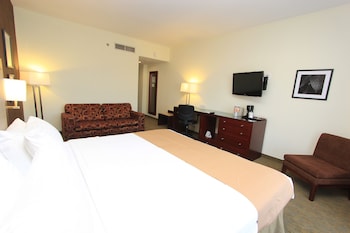 Standard Room, 1 King Bed, Accessible