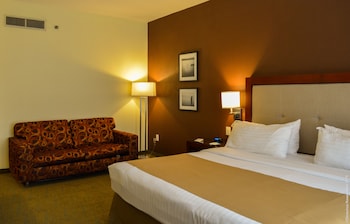 Standard Room, 1 King Bed, Accessible