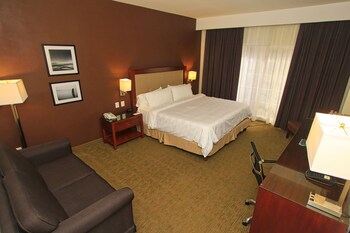 Standard Room, 1 King Bed, Accessible