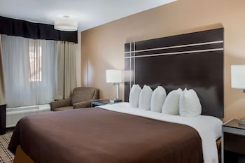 Standard Room, 1 King Bed, Non Smoking, Refrigerator & Microwave