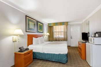 Room, 1 King Bed