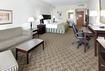 Suite, 1 King Bed