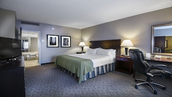 Suite, 1 King Bed