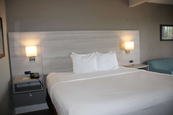 Standard Room, 1 King Bed, Accessible, Refrigerator & Microwave