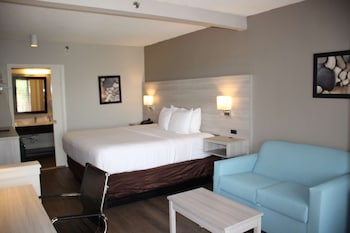 Standard Room, 1 King Bed, Accessible, Refrigerator & Microwave
